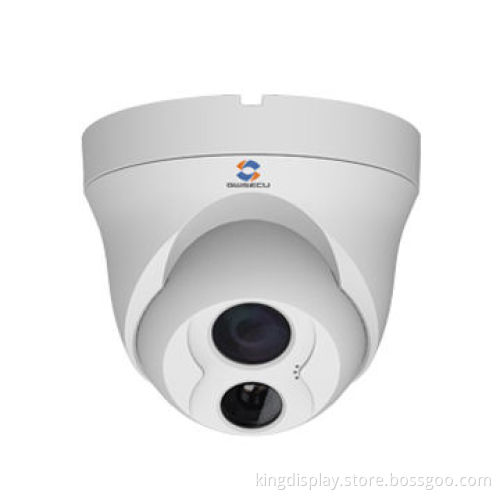 1.3 Megapixel HD Network IR Mini Dome Camera Waterproof and Vandal-proof